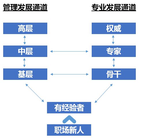 02_人才战略_07.jpg